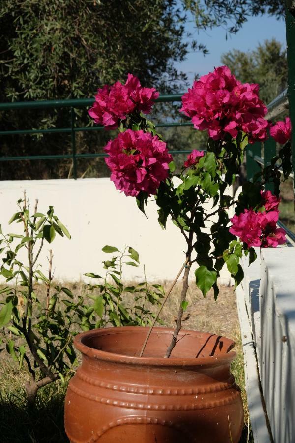 Billias House Villa Vourvourou Bagian luar foto
